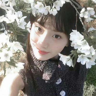 绝代双骄动画版