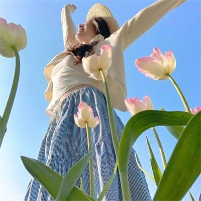 高飞